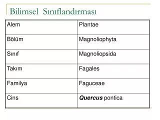 bilimsel s n fland rmas