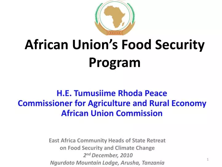 african union s food security program