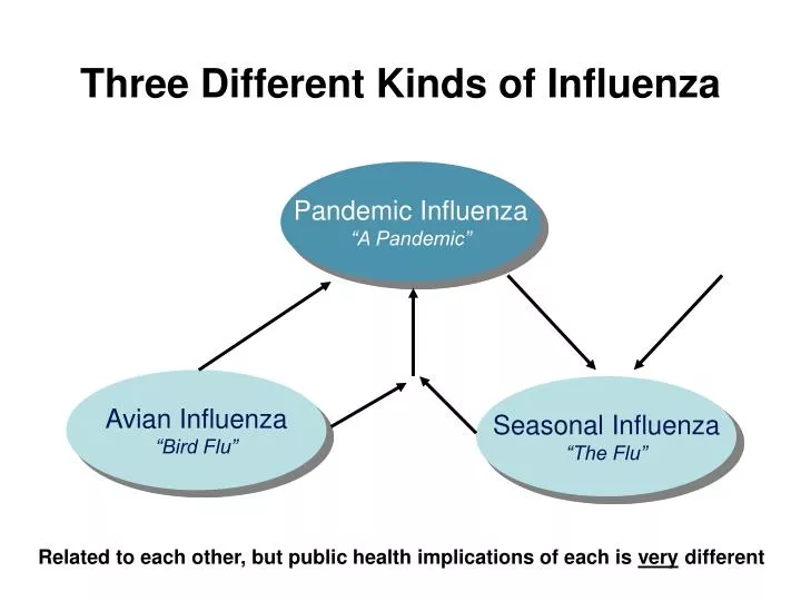 three different kinds of influenza