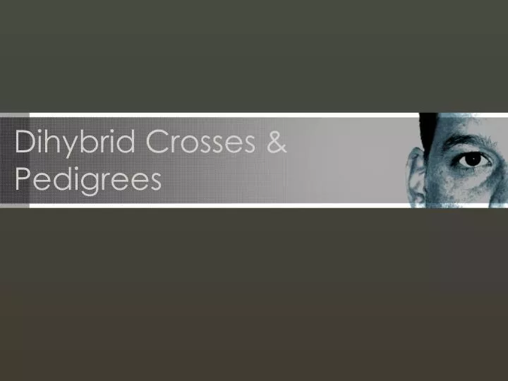 dihybrid crosses pedigrees