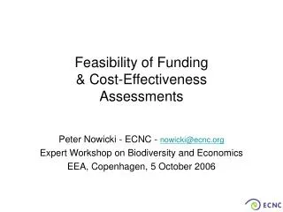 Feasibility of Funding &amp; Cost-Effectiveness Assessments