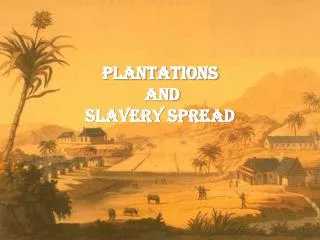 plantations and slavery spread