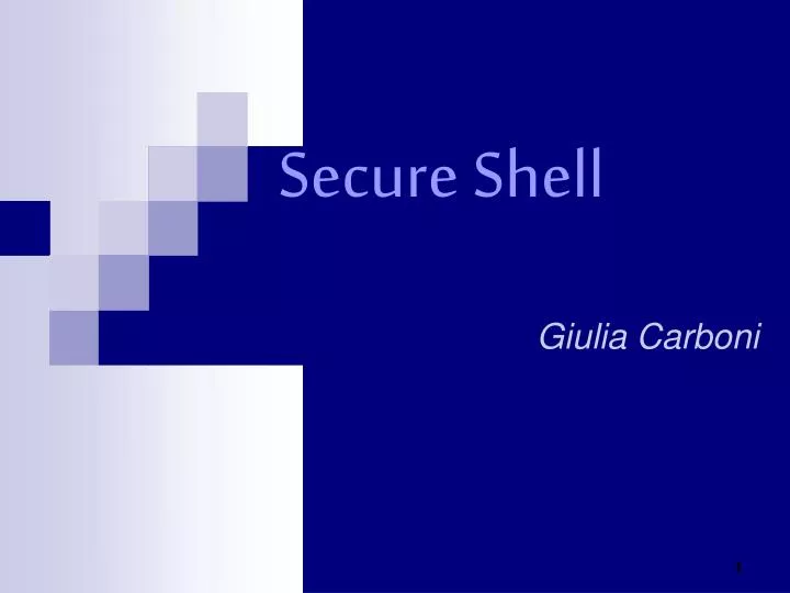 secure shell giulia carboni