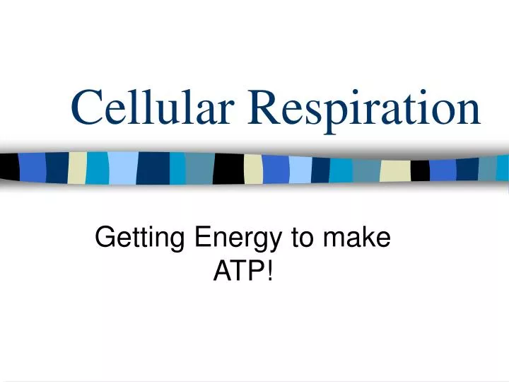 cellular respiration