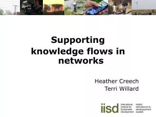 Supporting knowledge flows in networks Heather Creech Terri Willard