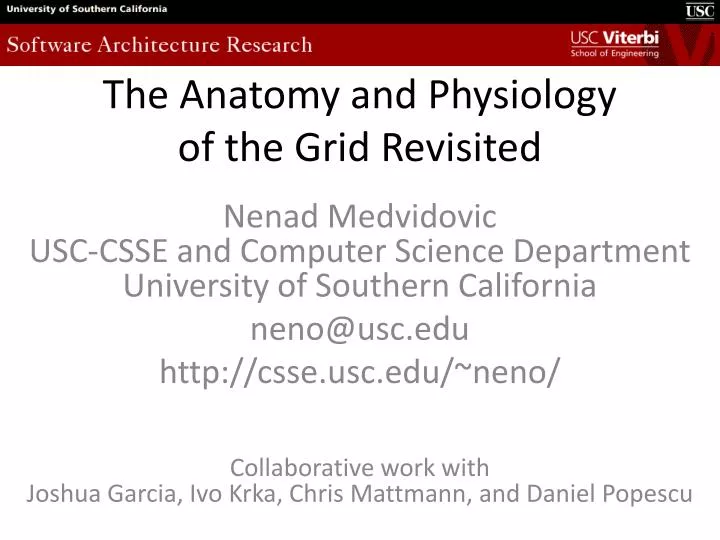 the anatomy and physiology of the grid revisited