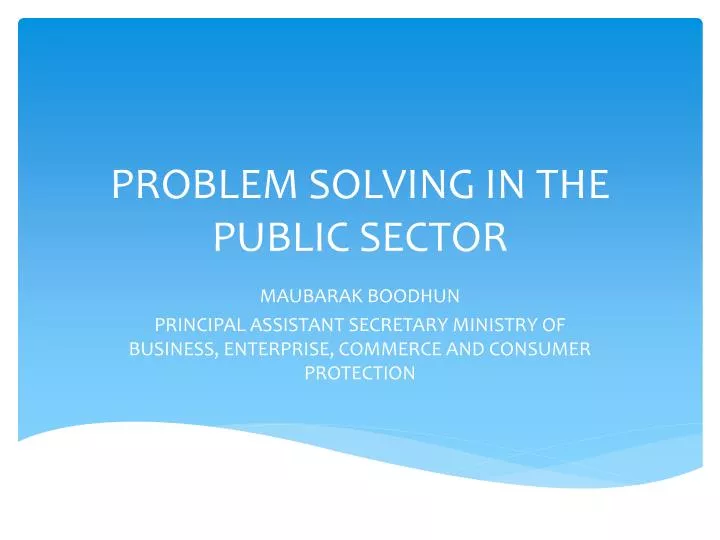problem solving in the public sector