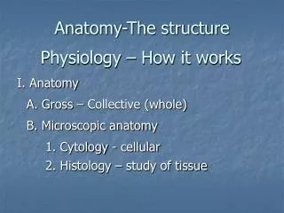 Anatomy-The structure