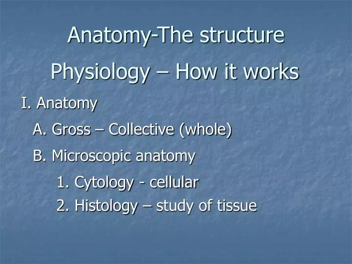 anatomy the structure