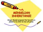 MENDELIAN INHERITANCE - slide 1
