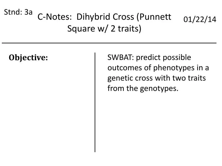 c notes dihybrid cross punnett square w 2 traits