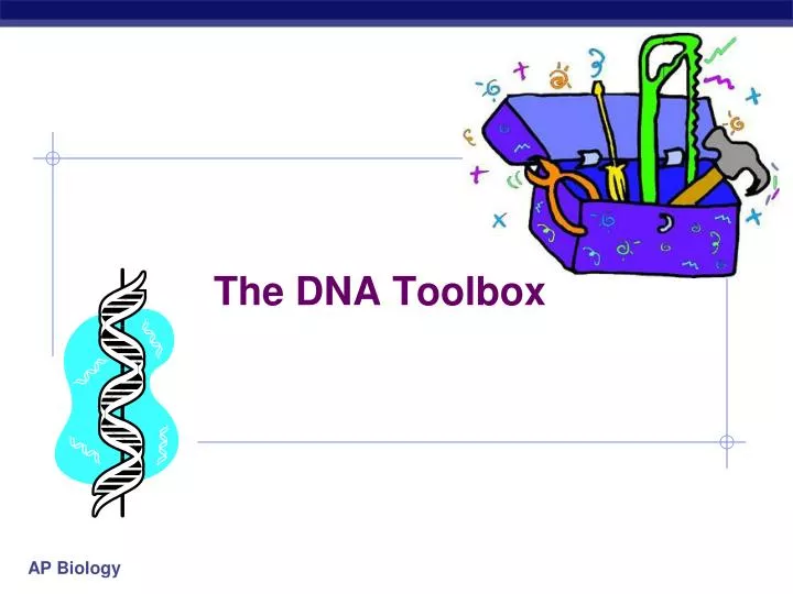 the dna toolbox