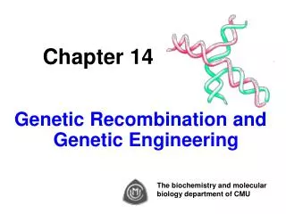 Chapter 14 Genetic Recombination and Genetic Engineering