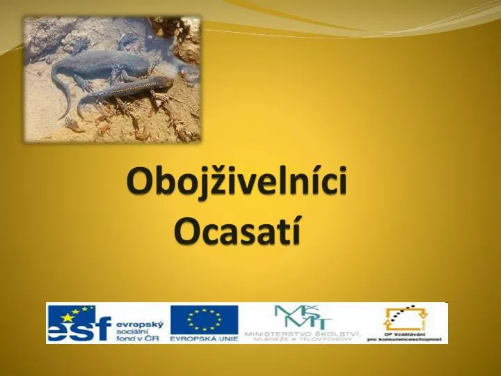 oboj iveln ci ocasat