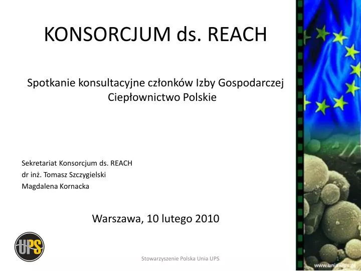 konsorcjum ds reach