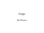 Crops - slide 1