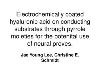 Jae Young Lee, Christine E. Schmidt