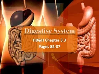 digestive system
