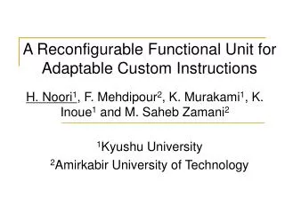 A Reconfigurable Functional Unit for Adaptable Custom Instructions