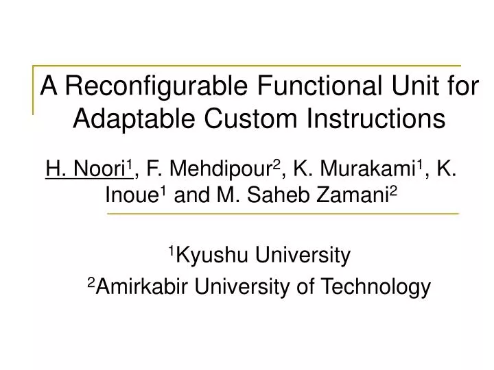 a reconfigurable functional unit for adaptable custom instructions