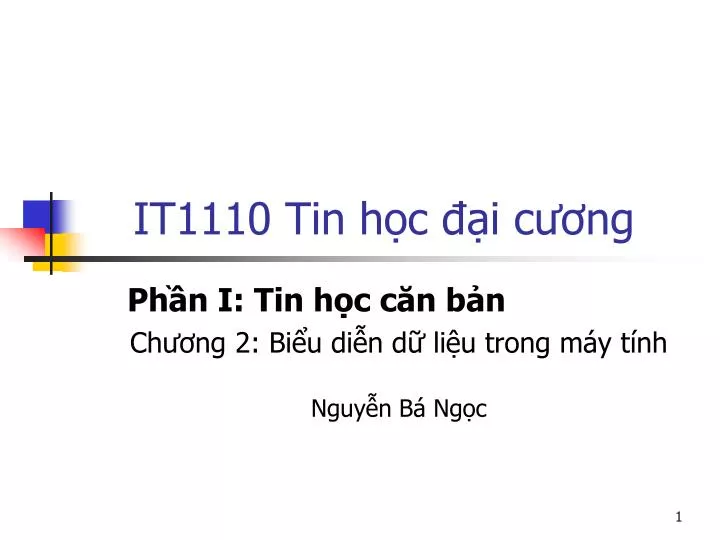 it1110 tin h c i c ng