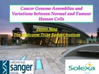 Cancer Genome Assemblies and Variations between Normal and Tumour Human Cells