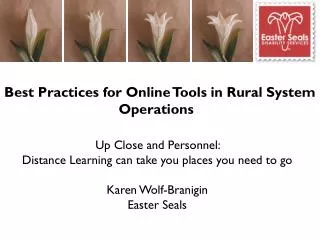 Best Practices for Online Tools in Rural System Operations