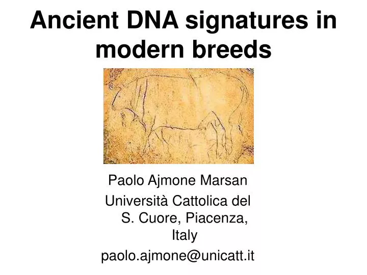 ancient dna signatures in modern breeds