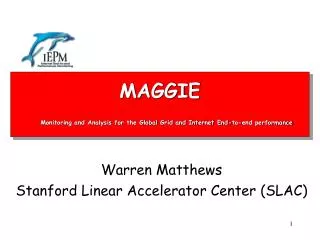 MAGGIE Monitoring and Analysis for the Global Grid and Internet End-to-end performance