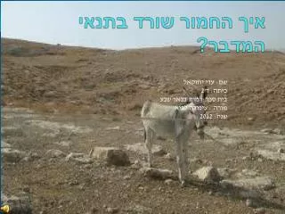 slide1