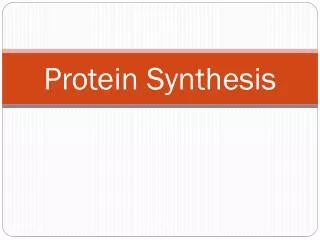 Protein Synthesis