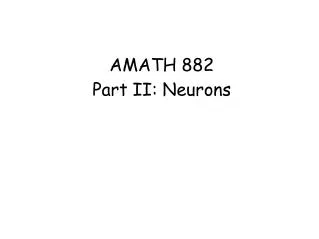 AMATH 882 Part II: Neurons