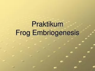 Praktikum Frog Embriogenesis