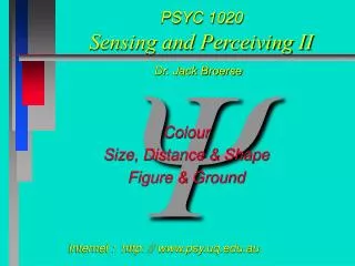 PSYC 1020 Sensing and Perceiving II