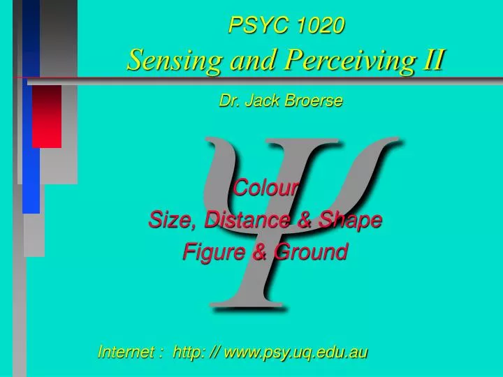 psyc 1020 sensing and perceiving ii