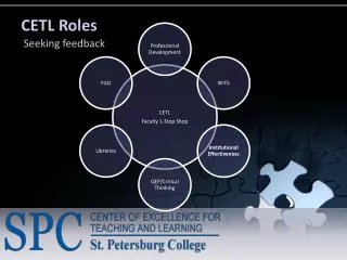 CETL Roles