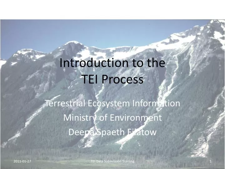 introduction to the tei process