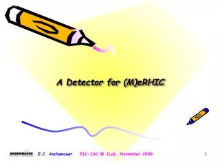 A Detector for ( M)eRHIC