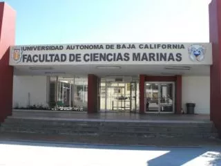 UNIVERSIDAD AUTÒNOMA DE BAJA CALIFORNIA FACULTAD DE CIENCIAS MARINAS