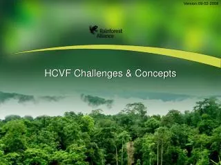 HCVF Challenges &amp; Concepts