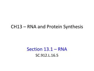 ch13 rna and protein synthesis