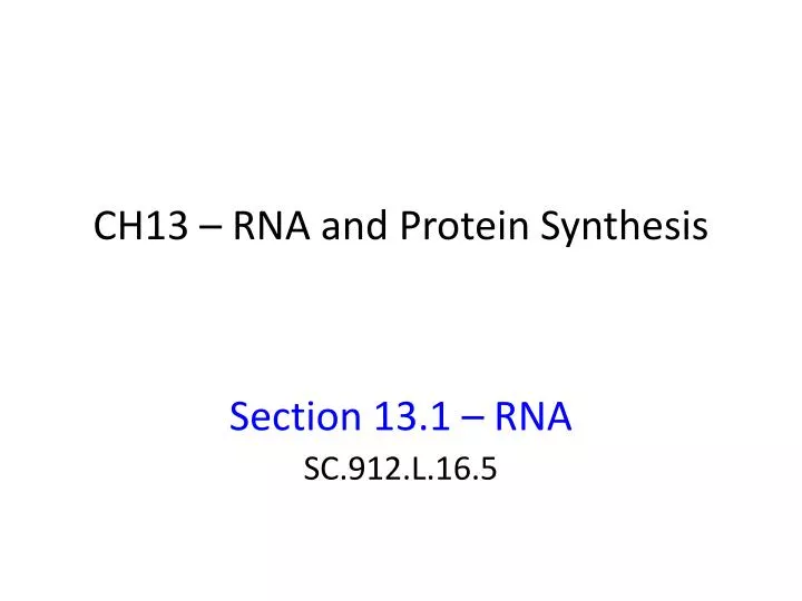 ch13 rna and protein synthesis