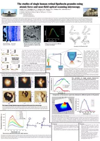 The studies of single human retinal lipofuscin granules using