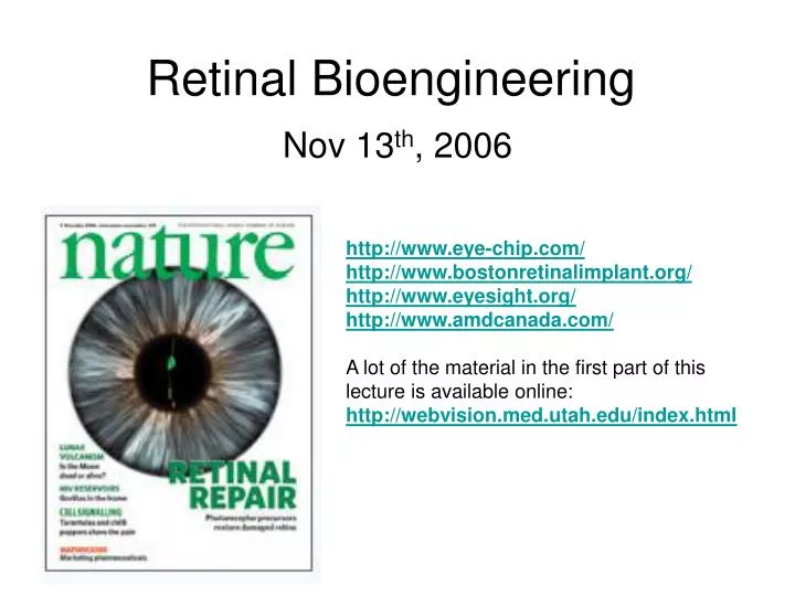 retinal bioengineering