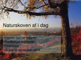 naturskoven af i dag