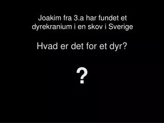 hvad er det for et dyr