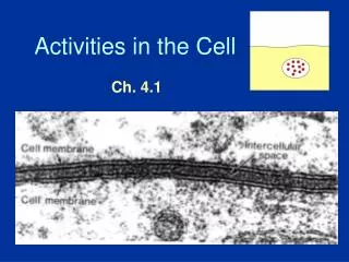 Activities in the Cell
