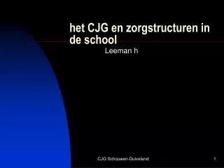 het cjg en zorgstructuren in de school