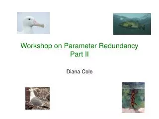 Workshop on Parameter Redundancy Part II