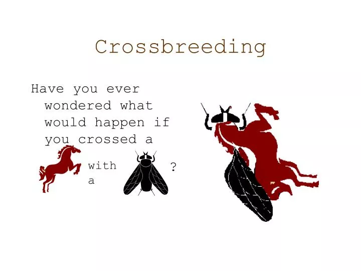 crossbreeding